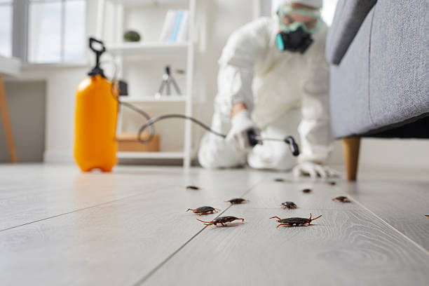 Commercial Rodent Management in Aurora